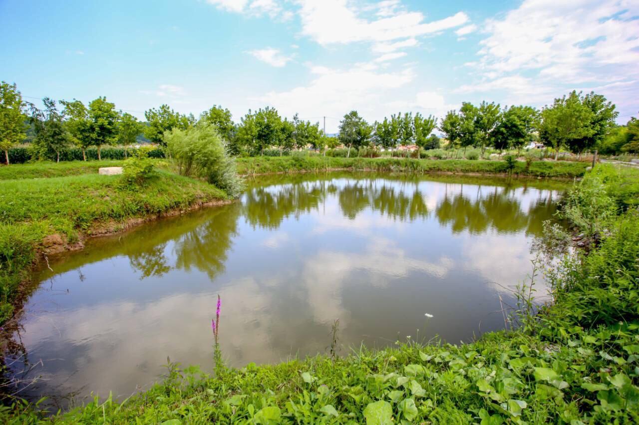 Apartments River Una 5 Біхач Екстер'єр фото